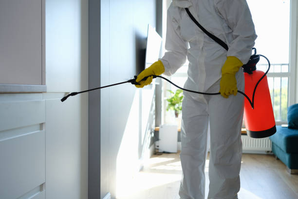 Best Mold Remediation for Healthcare Facilities  in Buhl, ID